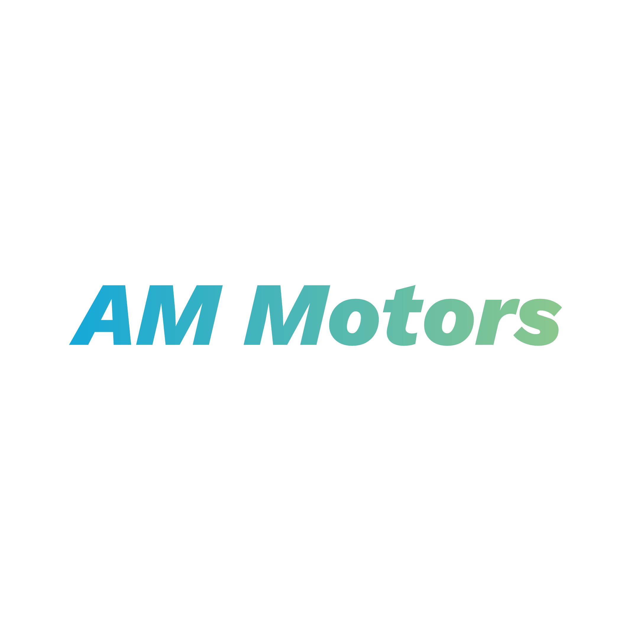 AM Motors