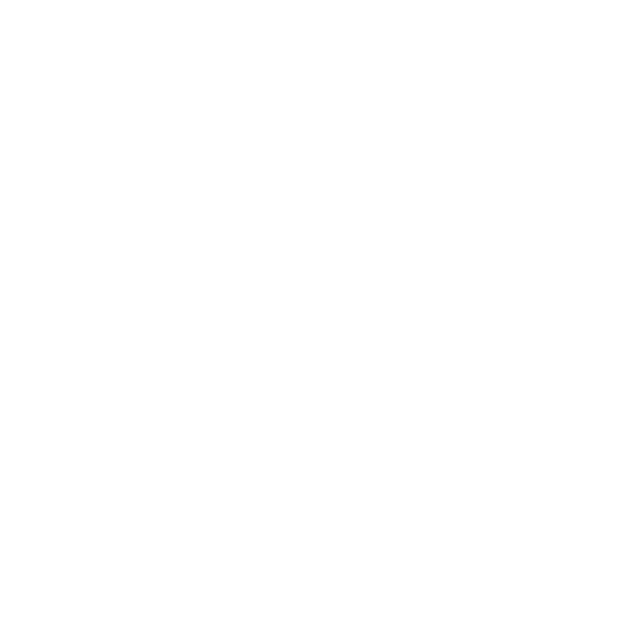 Indraprastha Automobile