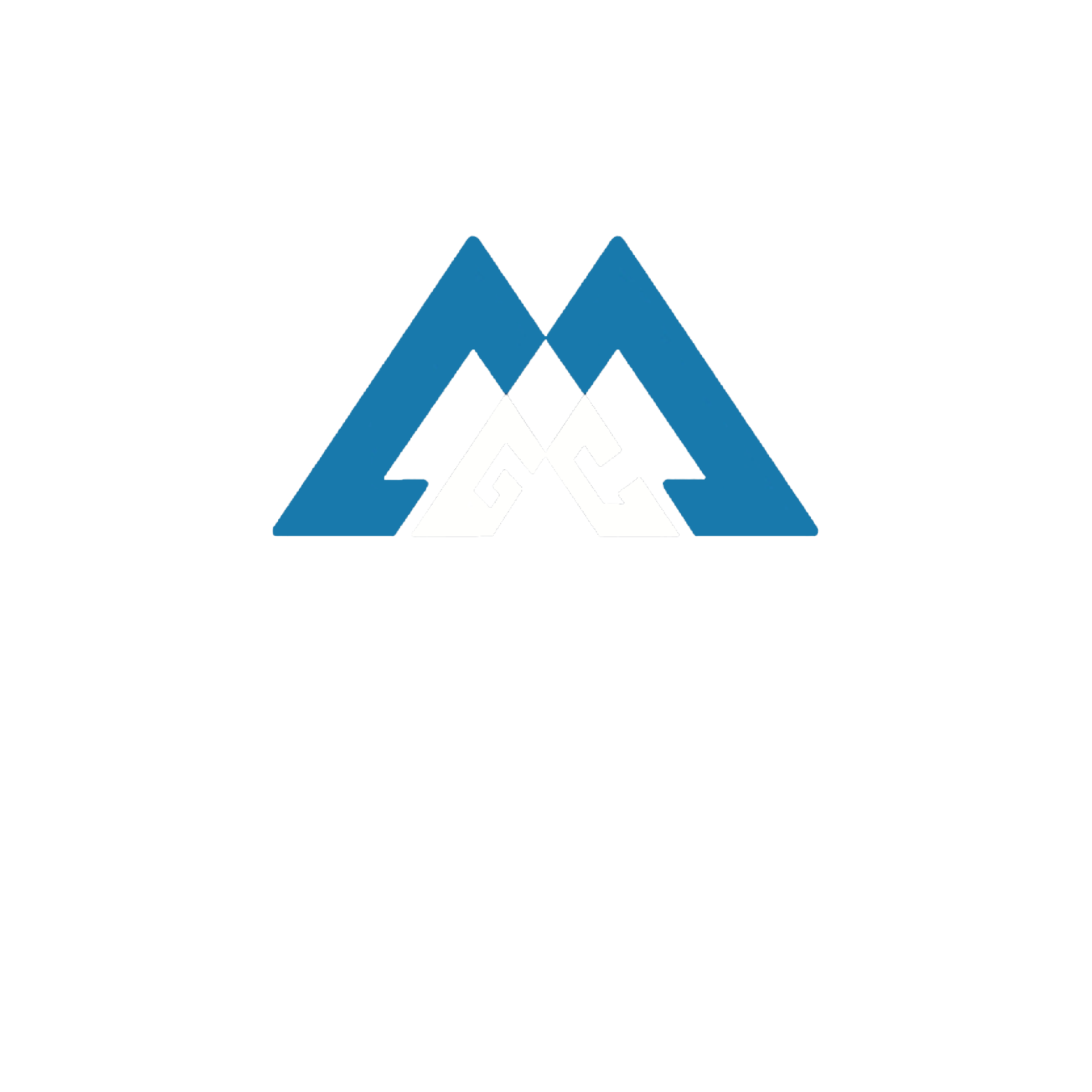 Malik Group